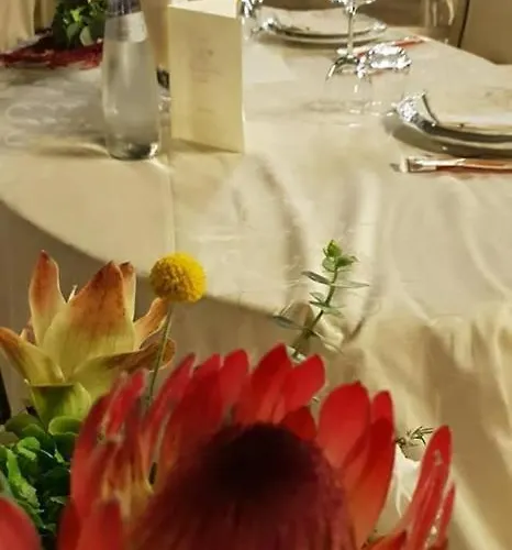 Riviera Отель 3*